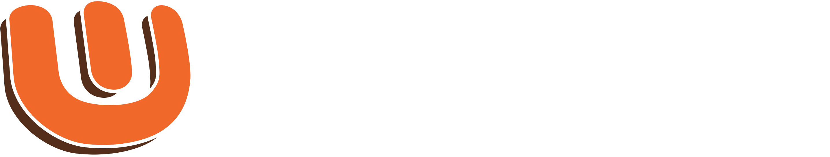 logo Webdev