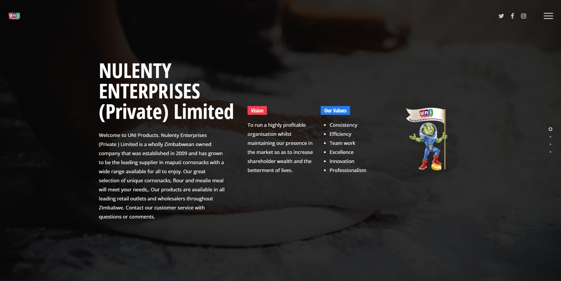 website design zimbabwe for nulenty enterprises